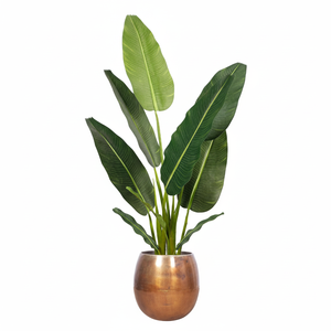 Jardinière en métal classique inspirée d'un style intemporel pour le jardinage intérieur et extérieur, placement décoratif des plantes - Product Image 1