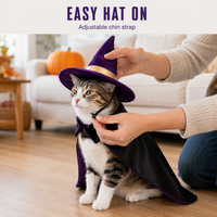 Kostum Kucing Hitam Cocok untuk Malam Cosplay dengan Topi Felt Ungu Berhias Emas dan Jubah Beludru dengan Lapisan Satin di Bagian Dalam