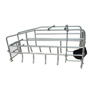 คอกคลอดสุกรแบบง่าย ราคาประหยัด คุณภาพดี สำหรับฟาร์มสุกร - Product Image 6