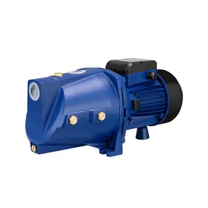 High pressure household garden 220v 0.75kw 1hp jet water pump