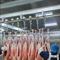 Équipement industriel d'abattage de moutons et de chèvres pour le dépeçage, le pelage et la transformation de la viande dans les abattoirs