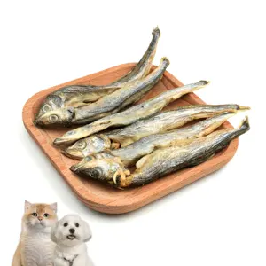 Premium Quality Cats Dry Capelin Snacks Food Cat Treats Freeze Dried Spring Fish For Pet Food Manufacturer