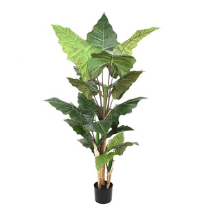Arbre artificiel <span class=keywords><strong>Arum</strong></span> à grandes feuilles, aspect réaliste, vente en gros d'usine, pour décoration d'événements - Product Image 6