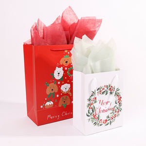 2024 Custom Birthday Gift Paper Bag <b>Christmas</b> Gift Bag Gift Packaging Bag - Product Image 3