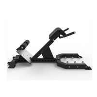 Salle de sport à usage commercial Entraîneur musculaire abdominal réglable à 45 degrés Banc d'exercice d'extension du dos hyper chaise romaine