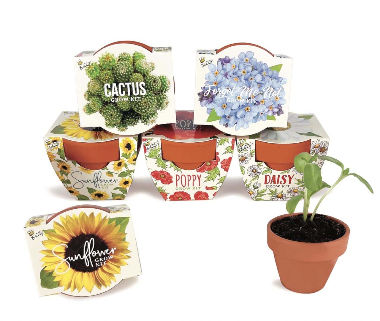 kit de fleurs
