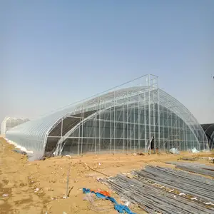 Tunnel agricole à travée unique poly air évaporatif de serre