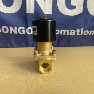SONGO Solenoide Magnético de Latón de 2 Vías y 12VDC de Alta Presión (16 bar) - Product Image 2