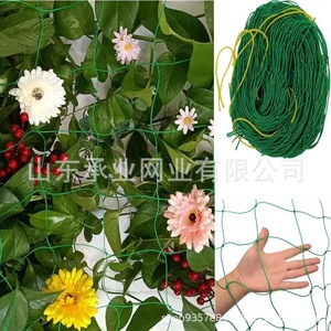 Filet de jardin Chengye vert 18x27 mailles carrées pour plantes grimpantes, concombres et tomates - Product Image 1