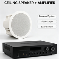 Haut-parleur de plafond encastré à faible distorsion, son clair, 30W, 92dB, woofer/tweeter 5 pouces, pour usage commercial intérieur, enceinte PA