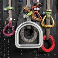 Sports de plein air en acier inoxydable anneau en D or pour boucle jouet porte-clés pour animaux de compagnie polyvalent Protection contre les chutes