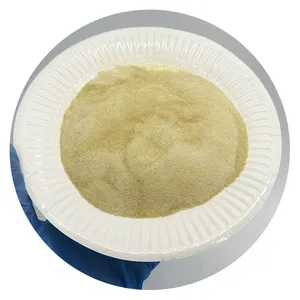 KEYU High quality natural polyanionic cellulose PAC powder PAC HV LV drilling grade