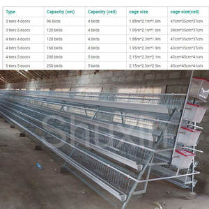 Poules pondeuses de type <span class=keywords><strong>4</strong></span> étages <span class=keywords><strong>Cages</strong></span> en batterie Poulet de ponte galvanisé Ferme avicole Poule de ponte Cage à vendre - Product Image 5