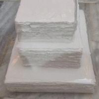 Papier artisanal Forest Deer India 90 g/m² pour aquarelle, format A6, bords festonnés, texture rugueuse, 50 feuilles, OEM, papier pour invitations et créations.