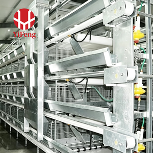 Nuevo Sistema Automático <span class=keywords><strong>de</strong></span> Jaulas Tipo H Yifeng para Gallinas Ponedoras, para 10000, 20000, 50000 Aves, con Bebedero <span class=keywords><strong>de</strong></span> Niple, Alimentación y Recolección <span class=keywords><strong>de</strong></span> <span class=keywords><strong>Huevos</strong></span>, Bajo Costo - Product Image 3