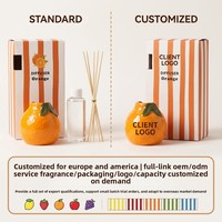 Diffuseur de parfum créatif sans flamme à bâtonnets de rotin, corps en céramique, parfum longue durée, personnalisable
