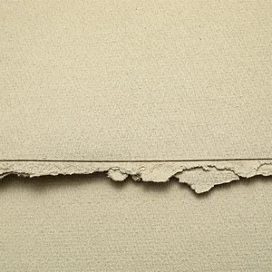 纸浆板制造商批发未漂白的原始竹纤维原始木浆食品级未漂白的Mg牛皮纸Pa CN;SIC