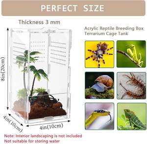 <span class=keywords><strong>Acrylic</strong></span> Jumping Spider Tarantula Enceinte 4 \ "X 4 \" X 8 \ "<span class=keywords><strong>Reptile</strong></span> Terrarium Insecte Petit Arbre Habitation Reptiles Présentoir - Product Image 4