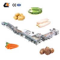 Industriële machines voor het wassen, schillen en sorteren van uien, wortelgroenten, fruit en bieten.