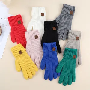 Outdoor Women Thick Acrylic Winter Plush Finger Knit Gloves Mittens For Lady Girl Men Colorful Gloves