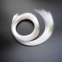 Hochleuchtende 1~5 Meter 1mm Durchmesser Endleuchtende PMMA-Glasfaserkabel für Heim- und Auto-LED-Sternenhimmel-Dekoration