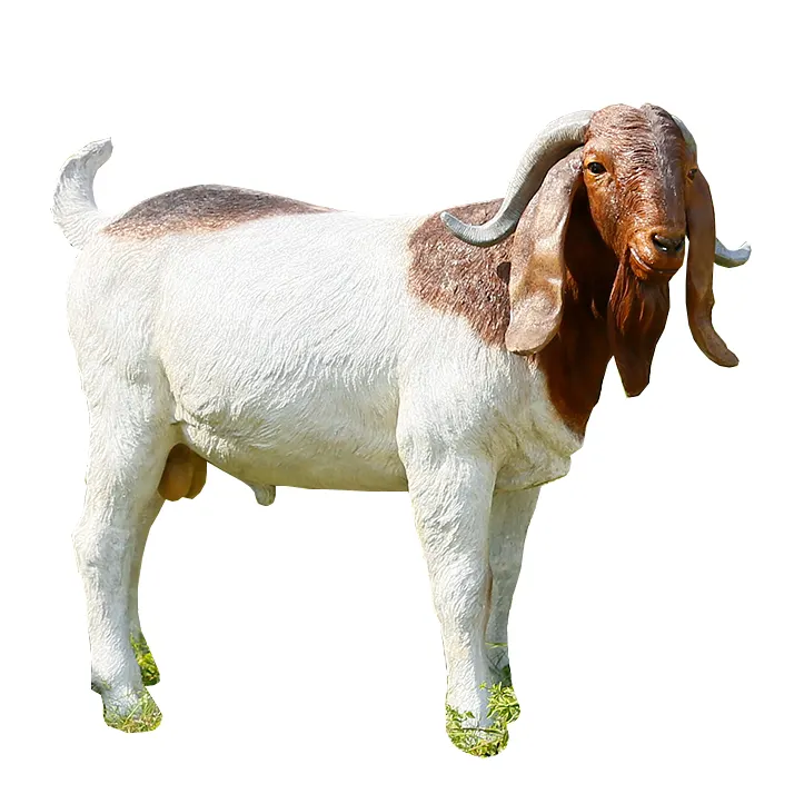 Life Size Statue Boer Goat Simulation Sheep Larger Fiberglass Animal Sculpture For Outdoor Garden Courtyard Landscape Decoration