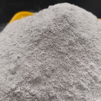 Poudre de microsilice SiO2 de haute pureté 92% 200 Mesh Exportation spéciale Fumées de silice pour le mélange de béton