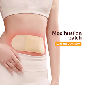 Jishantang Langanhaltende Selbstwärmende Eisenpulver-Moxibustionspflaster CE-Zertifiziert Einweg-Wermut-Kräuterpads 23,5x8cm für die Taille - Product Image 5