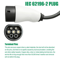 Fabricant en gros personnalisé 3 phases 32A 22KW 220V Typ2 long câble de charge EV