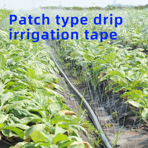 <span class=keywords><strong>Tubo</strong></span> per <span class=keywords><strong>irrigazione</strong></span> a goccia in PE nero da 3 pollici (50 mm) per microirrigazione agricola, per serre, giardini e uso agricolo - Product Image 1