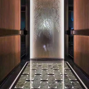 Hot Sale 304 Hairline Titanium Stainless Steel <b>Elevator</b> for Hotel Hospital otiis - Product Image 1