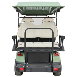 HKBG Nuevo Buggy de Estilo Atrevido, Motor de 48V/5000W, 30-50 Km/H, 1-2 Plazas, Carro de Golf con Batería de Litio, Faros LED, Personalizable, Nuevo 35 K - Product Image 5