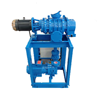 Pompe à vide annulaire à eau BOYUAN PUMP ZJP-70 + 2BV5110 Roots personnalisée pour le client - Ensemble avec armoire de commande