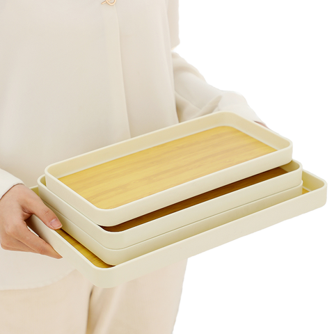Plastic Dish Plus Odorless Plastic Plate and Commercial Plastic Plate Paired with Durable Tray for High Traffic