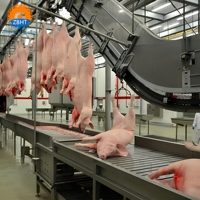 Ligne d'abattage automatique de porcs avec conception personnalisée et solution clé en main pour équipement d'abattoir de porcs à grande échelle