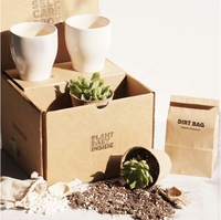 Boîtes d'emballage ondulé en papier kraft pour plantes boîtes d'expédition boîtes d'expédition rigides pour plantes succulentes