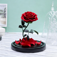 La Belle et la Bête - Fleur éternelle sous cloche en verre - Cadeau pour femme, petite amie - Décoration pour Thanksgiving, Noël et événements spéciaux