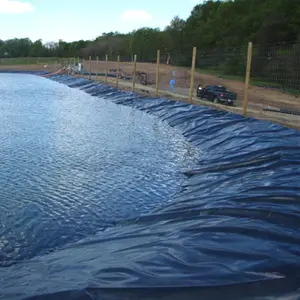 Le lac utilise un revêtement de géomembrane HDPE de bonne qualité avec une couleur noire et une surface lisse