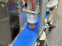 Machine à fabriquer des maamoul YC-130 légère en acier inoxydable avec écran tactile PLC, acier 304 de qualité alimentaire pour usage commercial