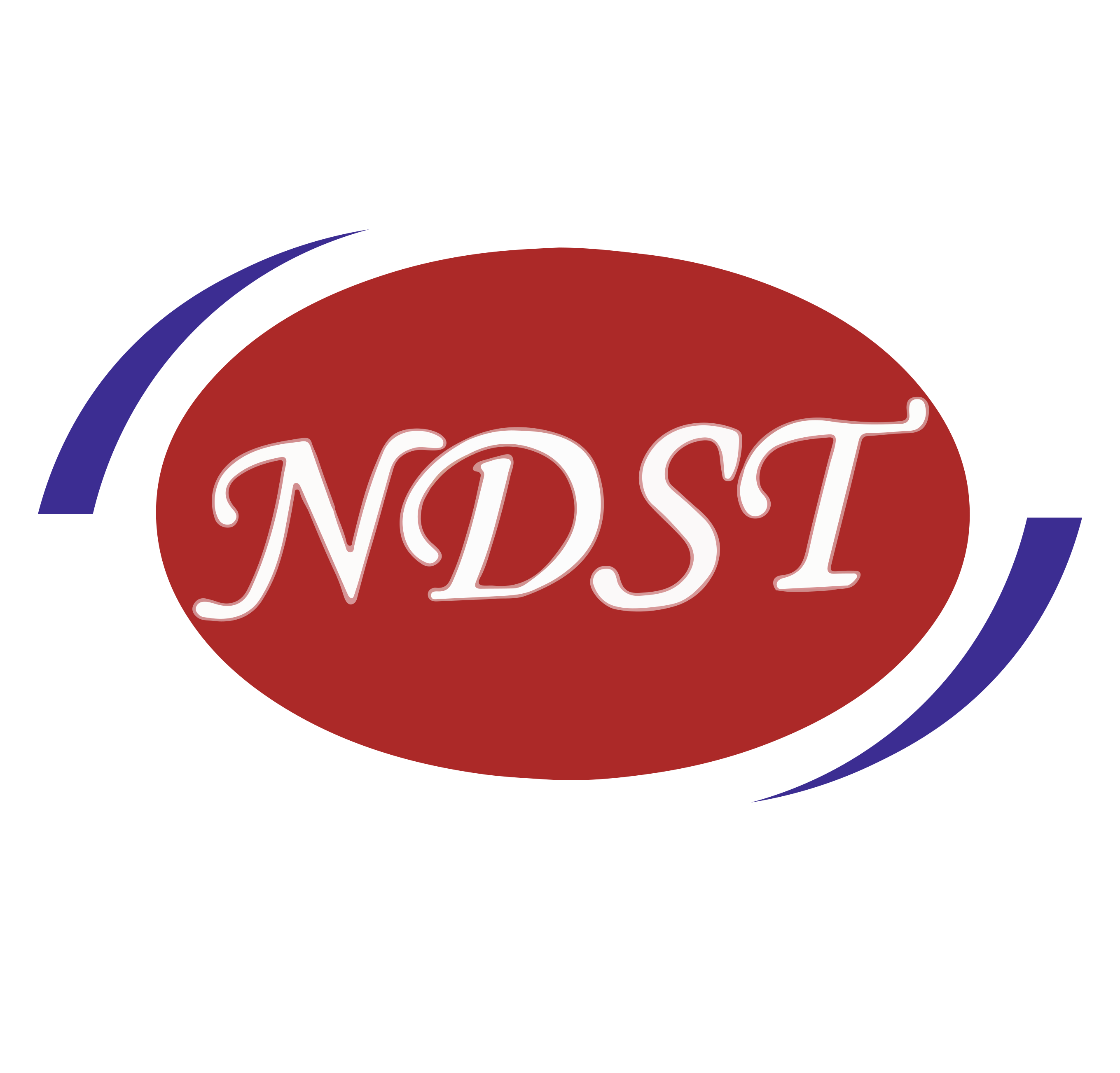 Shenzhen Nuo De Si Te Technology Co., Ltd logo