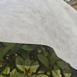 ผ้าไม่ทอ PP ผ้าใยสังเคราะห์เป็นมิตรต่อสิ่งแวดล้อมผ้าใยสังเคราะห์ spunbond spunbond - Product Image 6