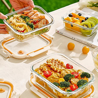 Lot de Contenants Alimentaires en Verre Borosilicate Haute Qualité Personnalisables, Sûrs pour Micro-ondes, Congélateur, Hermétiques, Anti-Fuite, Sans BPA