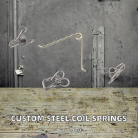 Bobines métalliques industrielles en acier inoxydable à double torsion, personnalisées, en chrome nickel, pour extension, capacité de charge 50 lb