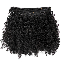 Extensions à clips en cheveux humains naturels brésiliens Remy, double épaisseur, brillance naturelle, pour festivals, salons, usage quotidien et occasions spéciales