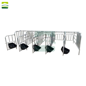 Cama de gestación para cerdas, Jaulas de paridera galvanizadas para cerdos, Corrales, Suelos para cerdos, Equipos para parideras y cerdas en <span class=keywords><strong>venta</strong></span> - Product Image 5