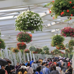 Macetas Verticales para Decoración de Carreteras, Macetas Colgantes con Autorriego para Flores, Sin Recubrimiento, SL-Y040, Plástico, 10 Piezas - Product Image 6