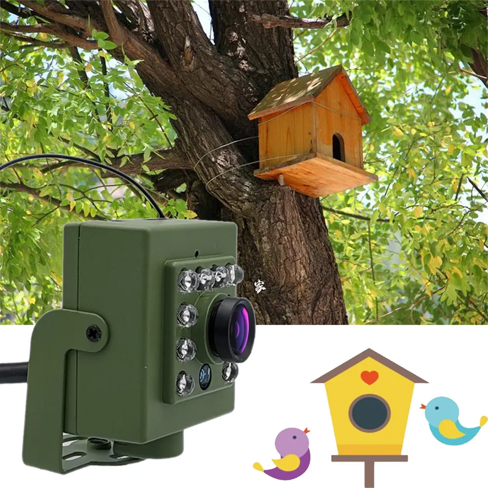 Kit de caméra Wifi oiseau vert, boîte de caméra RTMP Audio 1920P 1080P Vision nocturne RTMP RTSP FTP Mini caméra IP nid d'animaux surveillance des oiseaux IPC Camhi