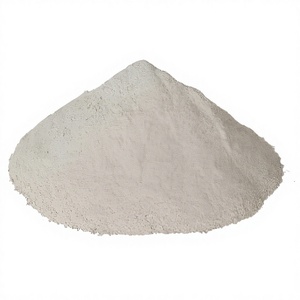 ผงหอยนางรมบริสุทธิ์สูง 99% ผงมูลิ เกรดอาหาร ปริมาณมาก - Product Image 3