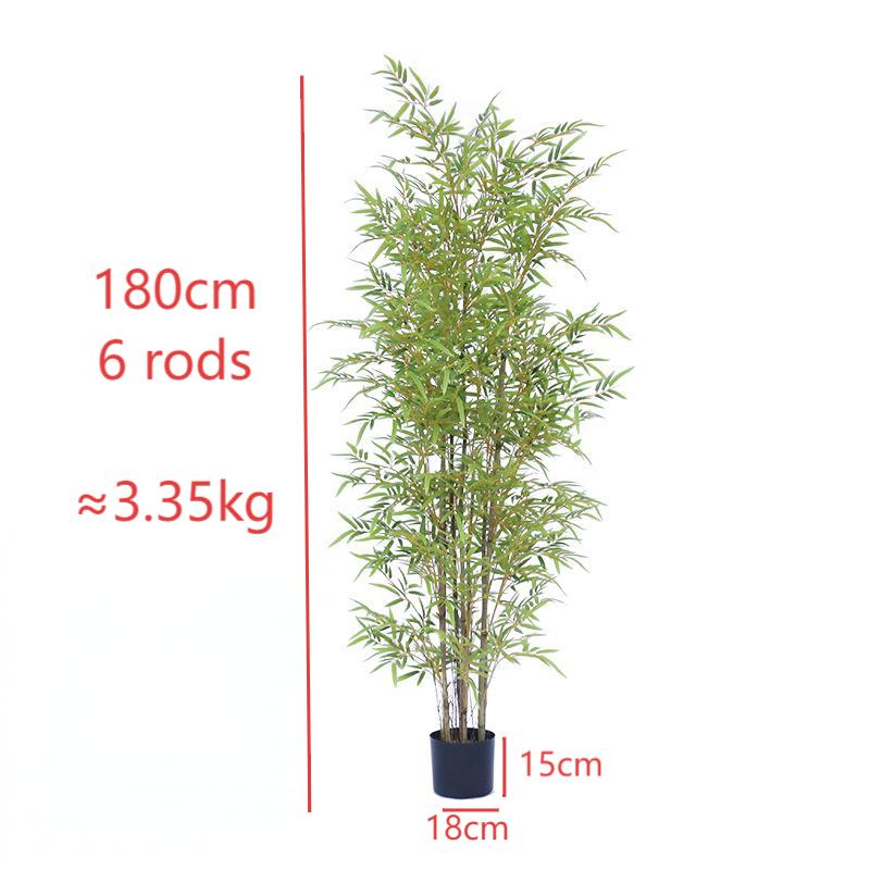 Yellow stem bamboo 180cm