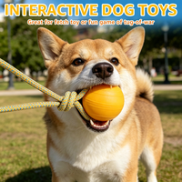 Balle d'entraînement pour chien durable avec logo personnalisé et grip, jouets à mâcher pour animaux de compagnie en gros pour l'obéissance et les mâcheurs agressifs